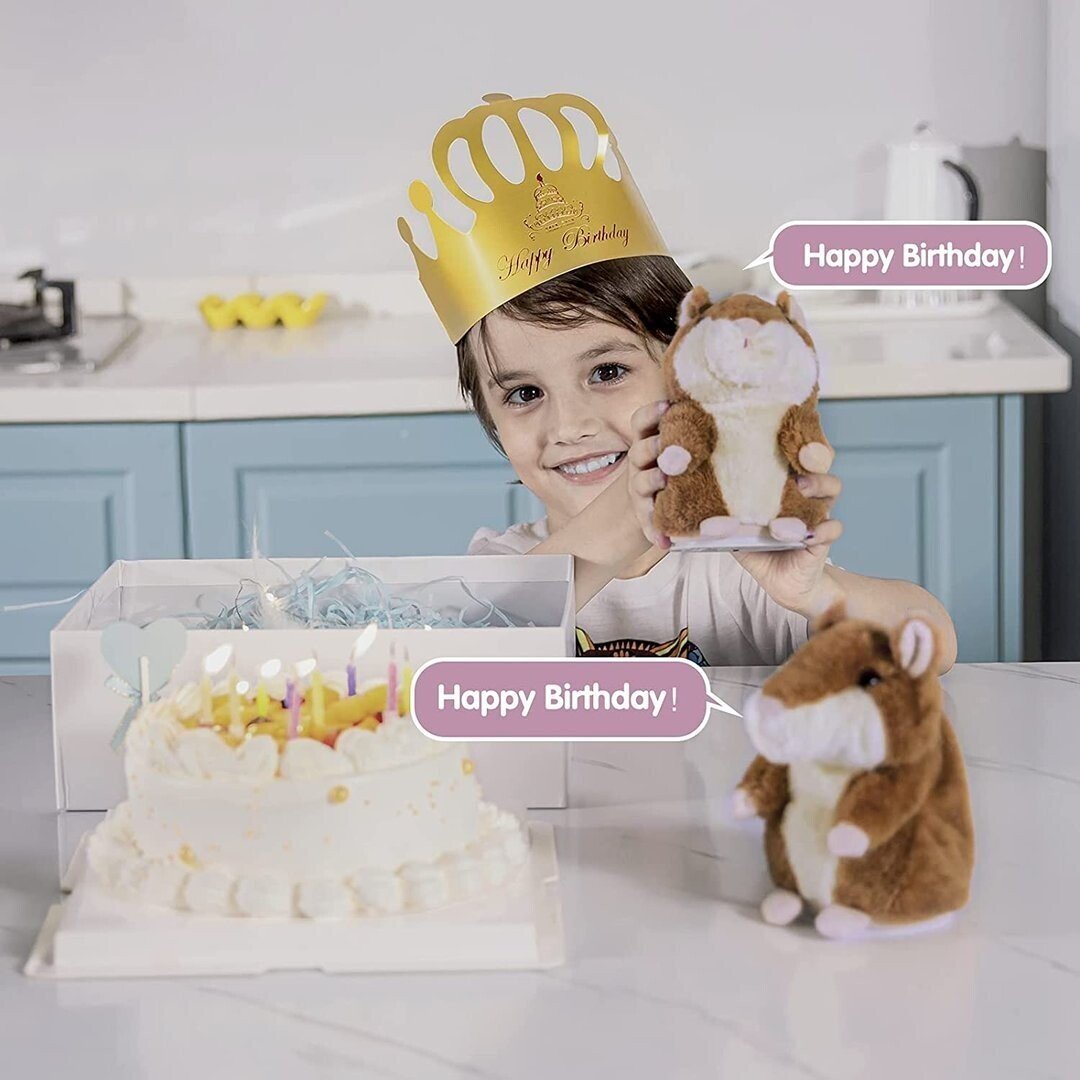 Talking Hamster Mouse Toy